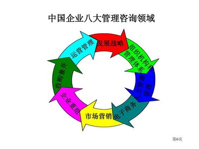 羅蘭貝格 中國企業管理咨詢提要PPT